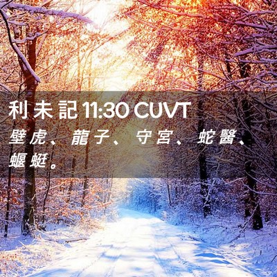Picture 02 - 利 未 記 11:30 CUVT - 壁 虎 、 龍 子 、 守 宮 、 蛇 醫 、 - Bible Verse Picture