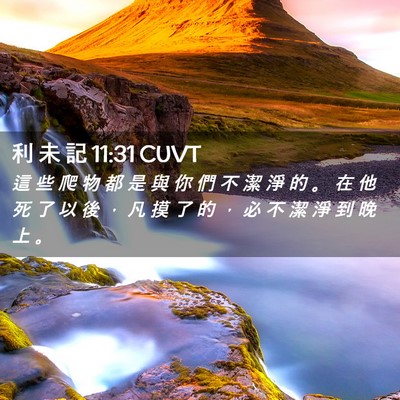Picture 02 - 利 未 記 11:31 CUVT - 這 些 爬 物 都 是 與 你 們 不 潔 淨 - Bible Verse Picture