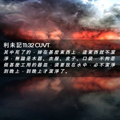 Picture 02 - 利 未 記 11:32 CUVT - 其 中 死 了 的 ， 掉 在 甚 麼 東 西 - Bible Verse Picture