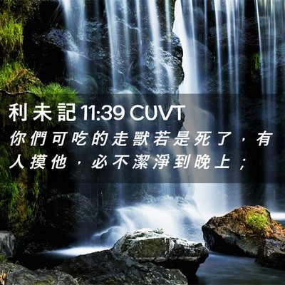 Picture 02 - 利 未 記 11:39 CUVT - 你 們 可 吃 的 走 獸 若 是 死 了 ， - Bible Verse Picture