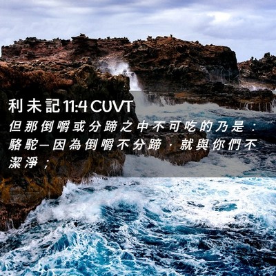 Picture 02 - 利 未 記 11:4 CUVT - 但 那 倒 嚼 或 分 蹄 之 中 不 可 吃 - Bible Verse Picture
