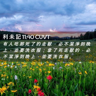 Picture 02 - 利 未 記 11:40 CUVT - 有 人 吃 那 死 了 的 走 獸 ， 必 不 - Bible Verse Picture