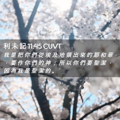 Picture 02 - 利 未 記 11:45 CUVT - 我 是 把 你 們 從 埃 及 地 領 出 來 - Bible Verse Picture