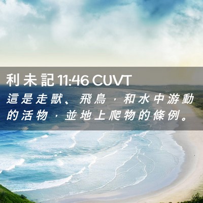 Picture 02 - 利 未 記 11:46 CUVT - 這 是 走 獸 、 飛 鳥 ， 和 水 中 游 - Bible Verse Picture