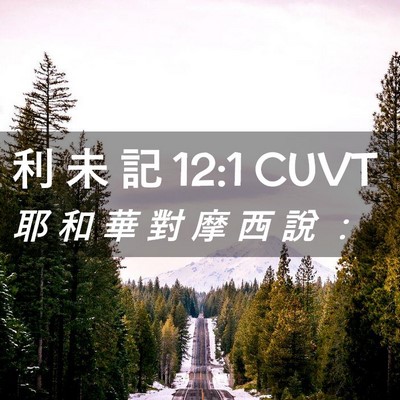 Picture 02 - 利 未 記 12:1 CUVT - 耶 和 華 對 摩 西 說 - Bible Verse Picture