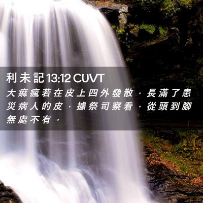 Picture 02 - 利 未 記 13:12 CUVT - 大 痲 瘋 若 在 皮 上 四 外 發 散 ， - Bible Verse Picture