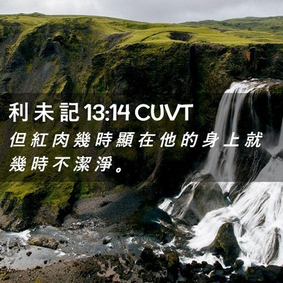 Picture 02 - 利 未 記 13:14 CUVT - 但 紅 肉 幾 時 顯 在 他 的 身 上 就 - Bible Verse Picture