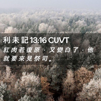 Picture 02 - 利 未 記 13:16 CUVT - 紅 肉 若 復 原 ， 又 變 白 了 ， 他 - Bible Verse Picture