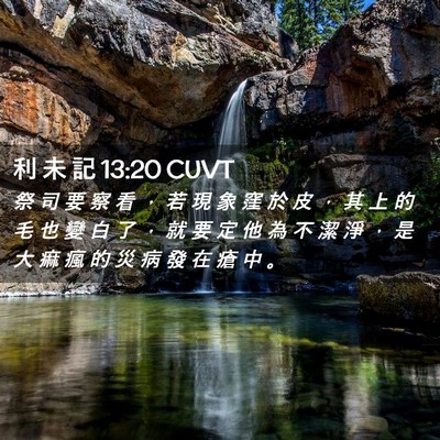 Picture 02 - 利 未 記 13:20 CUVT - 祭 司 要 察 看 ， 若 現 象 窪 於 皮 - Bible Verse Picture