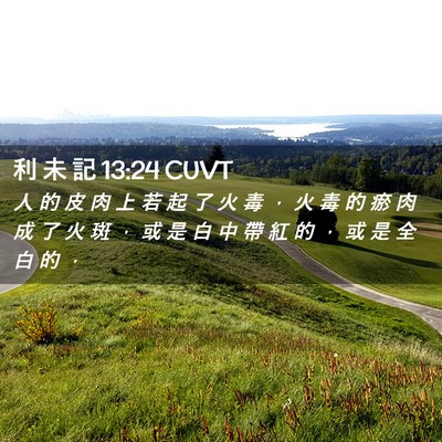 Picture 02 - 利 未 記 13:24 CUVT - 人 的 皮 肉 上 若 起 了 火 毒 ， 火 - Bible Verse Picture