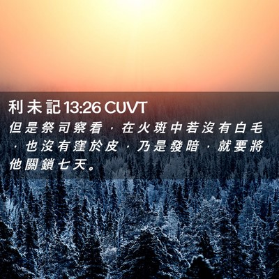 Picture 02 - 利 未 記 13:26 CUVT - 但 是 祭 司 察 看 ， 在 火 斑 中 若 - Bible Verse Picture