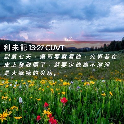 Picture 02 - 利 未 記 13:27 CUVT - 到 第 七 天 ， 祭 司 要 察 看 他 ， - Bible Verse Picture