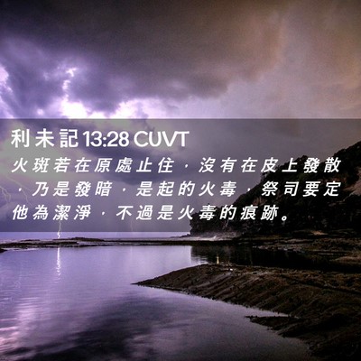 Picture 02 - 利 未 記 13:28 CUVT - 火 斑 若 在 原 處 止 住 ， 沒 有 在 - Bible Verse Picture