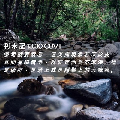 Picture 02 - 利 未 記 13:30 CUVT - 祭 司 就 要 察 看 ； 這 災 病 現 象 - Bible Verse Picture