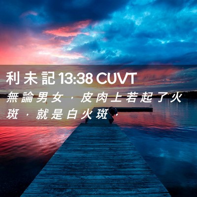 Picture 02 - 利 未 記 13:38 CUVT - 無 論 男 女 ， 皮 肉 上 若 起 了 火 - Bible Verse Picture