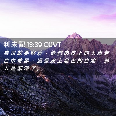 Picture 02 - 利 未 記 13:39 CUVT - 祭 司 就 要 察 看 ， 他 們 肉 皮 上 - Bible Verse Picture