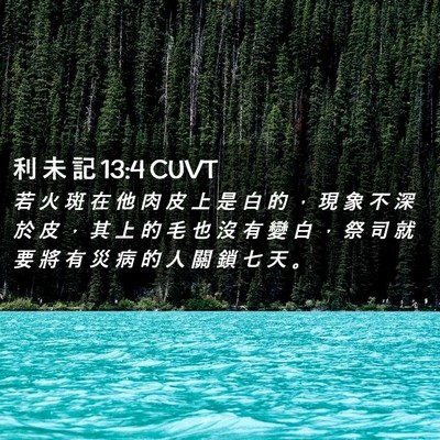 Picture 02 - 利 未 記 13:4 CUVT - 若 火 斑 在 他 肉 皮 上 是 白 的 ， - Bible Verse Picture