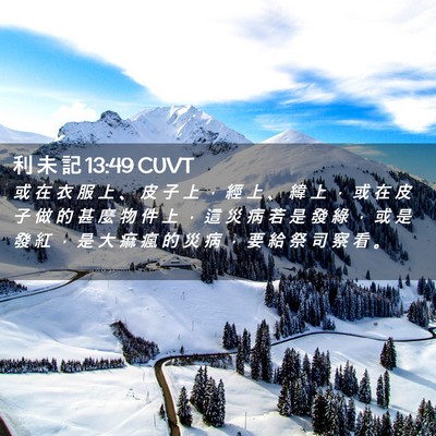Picture 02 - 利 未 記 13:49 CUVT - 或 在 衣 服 上 、 皮 子 上 ， 經 上 - Bible Verse Picture
