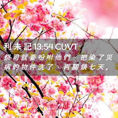 Picture 02 - 利 未 記 13:54 CUVT - 祭 司 就 要 吩 咐 他 們 ， 把 染 了 - Bible Verse Picture