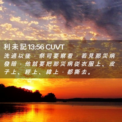 Picture 02 - 利 未 記 13:56 CUVT - 洗 過 以 後 ， 祭 司 要 察 看 ， 若 - Bible Verse Picture