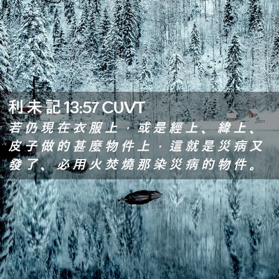 Picture 02 - 利 未 記 13:57 CUVT - 若 仍 現 在 衣 服 上 ， 或 是 經 上 - Bible Verse Picture