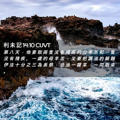 Picture 02 - 利 未 記 14:10 CUVT - 第 八 天 ， 他 要 取 兩 隻 沒 有 殘 - Bible Verse Picture