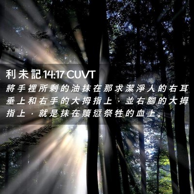 Picture 02 - 利 未 記 14:17 CUVT - 將 手 裡 所 剩 的 油 抹 在 那 求 潔 - Bible Verse Picture
