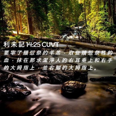 Picture 02 - 利 未 記 14:25 CUVT - 要 宰 了 贖 愆 祭 的 羊 羔 ， 取 些 - Bible Verse Picture