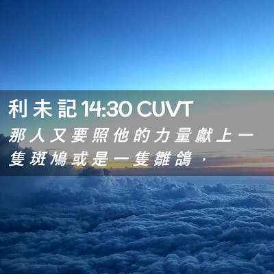 Picture 02 - 利 未 記 14:30 CUVT - 那 人 又 要 照 他 的 力 量 獻 上 一 - Bible Verse Picture