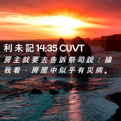 Picture 02 - 利 未 記 14:35 CUVT - 房 主 就 要 去 告 訴 祭 司 說 ： 據 - Bible Verse Picture