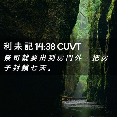 Picture 02 - 利 未 記 14:38 CUVT - 祭 司 就 要 出 到 房 門 外 ， 把 房 - Bible Verse Picture