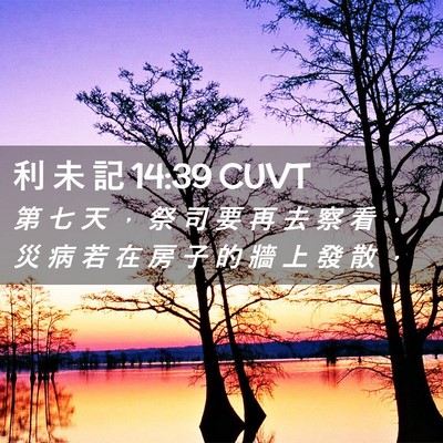 Picture 02 - 利 未 記 14:39 CUVT - 第 七 天 ， 祭 司 要 再 去 察 看 ， - Bible Verse Picture