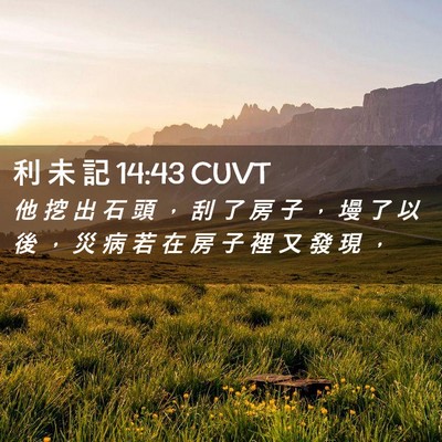 Picture 02 - 利 未 記 14:43 CUVT - 他 挖 出 石 頭 ， 刮 了 房 子 ， 墁 - Bible Verse Picture
