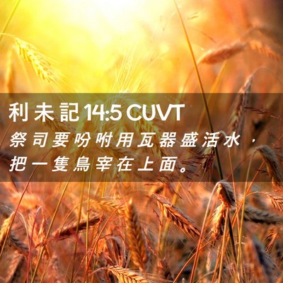Picture 02 - 利 未 記 14:5 CUVT - 祭 司 要 吩 咐 用 瓦 器 盛 活 水 ， - Bible Verse Picture
