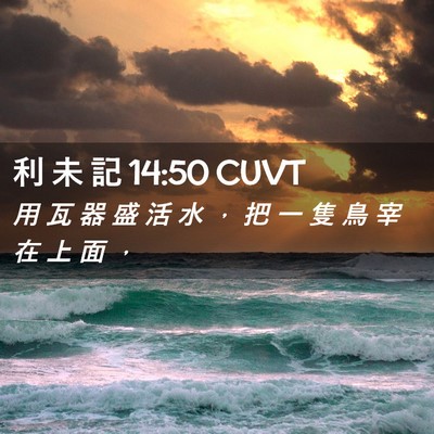 Picture 02 - 利 未 記 14:50 CUVT - 用 瓦 器 盛 活 水 ， 把 一 隻 鳥 宰 - Bible Verse Picture