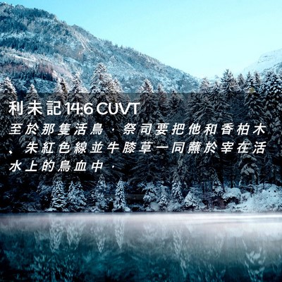 Picture 02 - 利 未 記 14:6 CUVT - 至 於 那 隻 活 鳥 ， 祭 司 要 把 他 - Bible Verse Picture