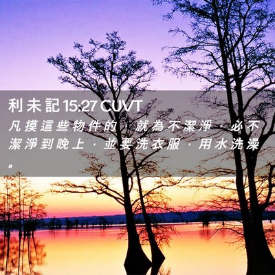 Picture 02 - 利 未 記 15:27 CUVT - 凡 摸 這 些 物 件 的 ， 就 為 不 潔 - Bible Verse Picture