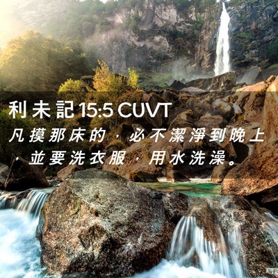 Picture 02 - 利 未 記 15:5 CUVT - 凡 摸 那 床 的 ， 必 不 潔 淨 到 晚 - Bible Verse Picture