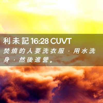 Picture 02 - 利 未 記 16:28 CUVT - 焚 燒 的 人 要 洗 衣 服 ， 用 水 洗 - Bible Verse Picture