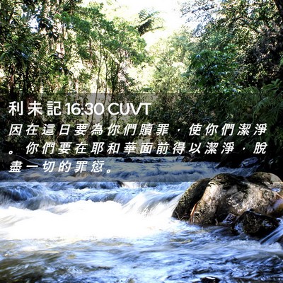 Picture 02 - 利 未 記 16:30 CUVT - 因 在 這 日 要 為 你 們 贖 罪 ， 使 - Bible Verse Picture