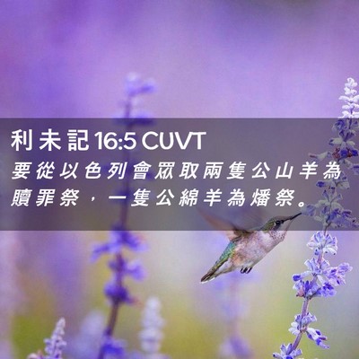Picture 02 - 利 未 記 16:5 CUVT - 要 從 以 色 列 會 眾 取 兩 隻 公 山 - Bible Verse Picture