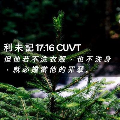 Picture 02 - 利 未 記 17:16 CUVT - 但 他 若 不 洗 衣 服 ， 也 不 洗 身 - Bible Verse Picture