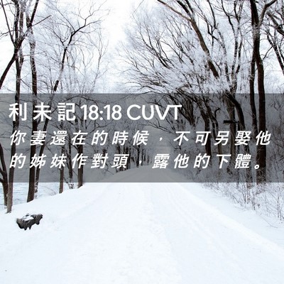 Picture 02 - 利 未 記 18:18 CUVT - 你 妻 還 在 的 時 候 ， 不 可 另 娶 - Bible Verse Picture
