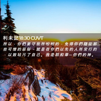 Picture 02 - 利 未 記 18:30 CUVT - 所 以 ， 你 們 要 守 我 所 吩 咐 的 - Bible Verse Picture