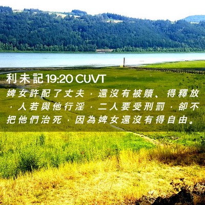Picture 02 - 利 未 記 19:20 CUVT - 婢 女 許 配 了 丈 夫 ， 還 沒 有 被 - Bible Verse Picture