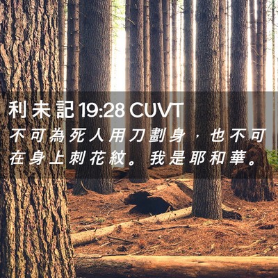 Picture 02 - 利 未 記 19:28 CUVT - 不 可 為 死 人 用 刀 劃 身 ， 也 不 - Bible Verse Picture