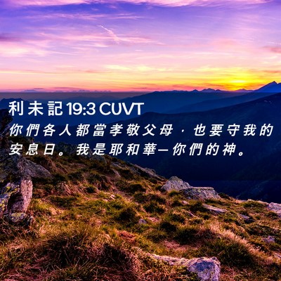 Picture 02 - 利 未 記 19:3 CUVT - 你 們 各 人 都 當 孝 敬 父 母 ， 也 - Bible Verse Picture