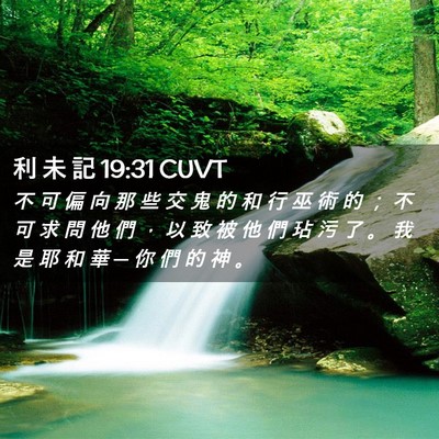 Picture 02 - 利 未 記 19:31 CUVT - 不 可 偏 向 那 些 交 鬼 的 和 行 巫 - Bible Verse Picture