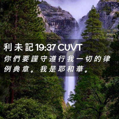 Picture 02 - 利 未 記 19:37 CUVT - 你 們 要 謹 守 遵 行 我 一 切 的 律 - Bible Verse Picture
