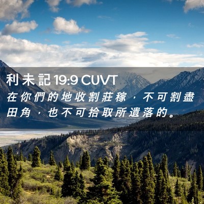 Picture 02 - 利 未 記 19:9 CUVT - 在 你 們 的 地 收 割 莊 稼 ， 不 可 - Bible Verse Picture
